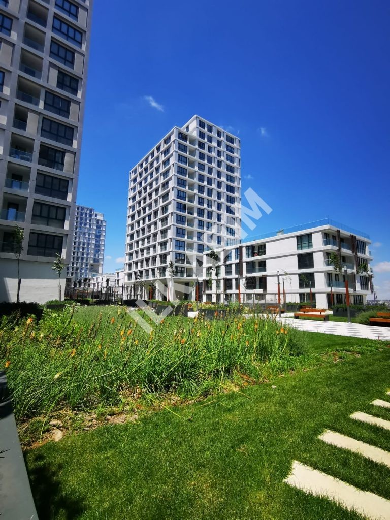 IMG-20200703-WA0057-768×1024