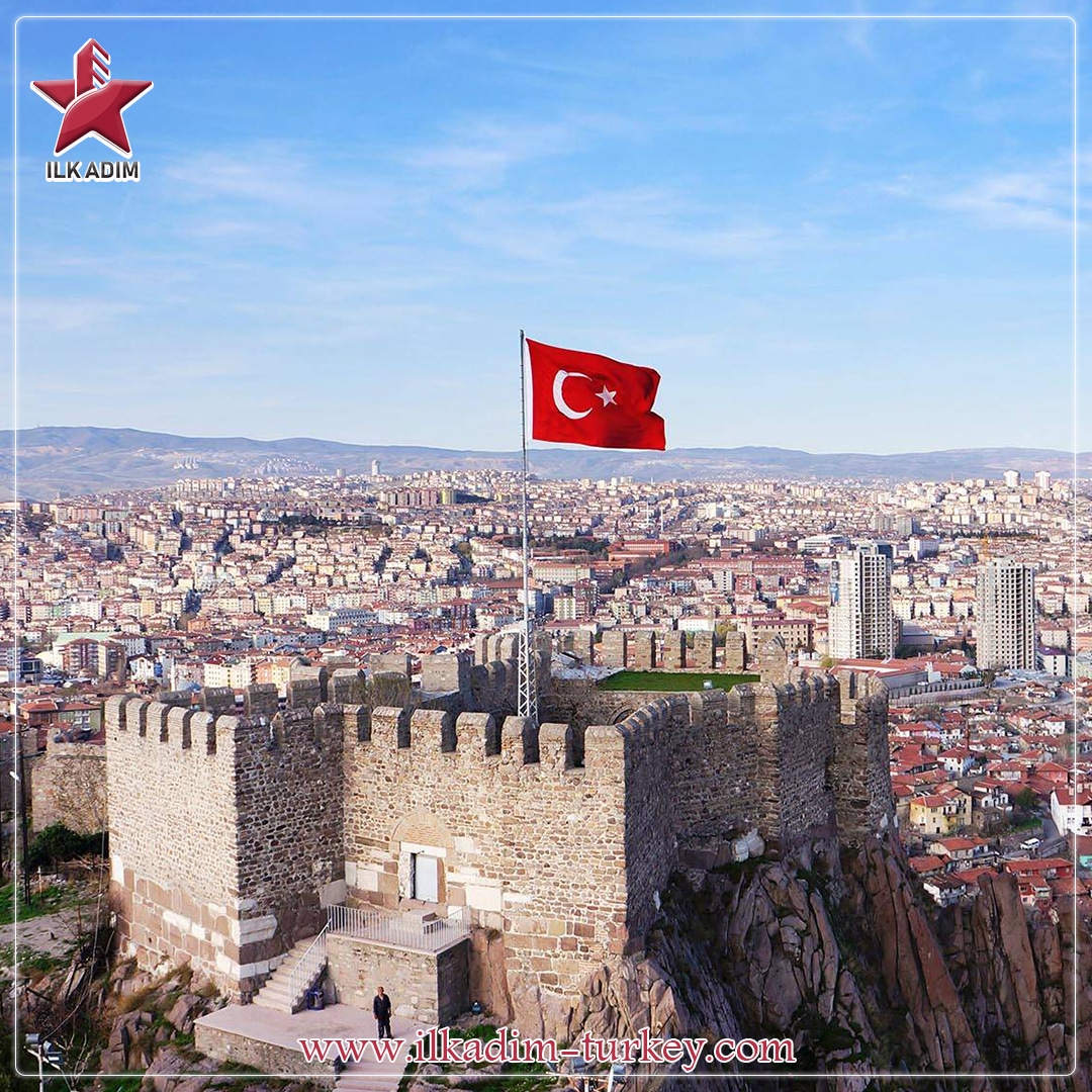 أرقام وإحصائيات