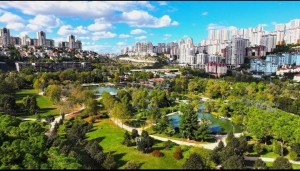 المساحات الخضراء