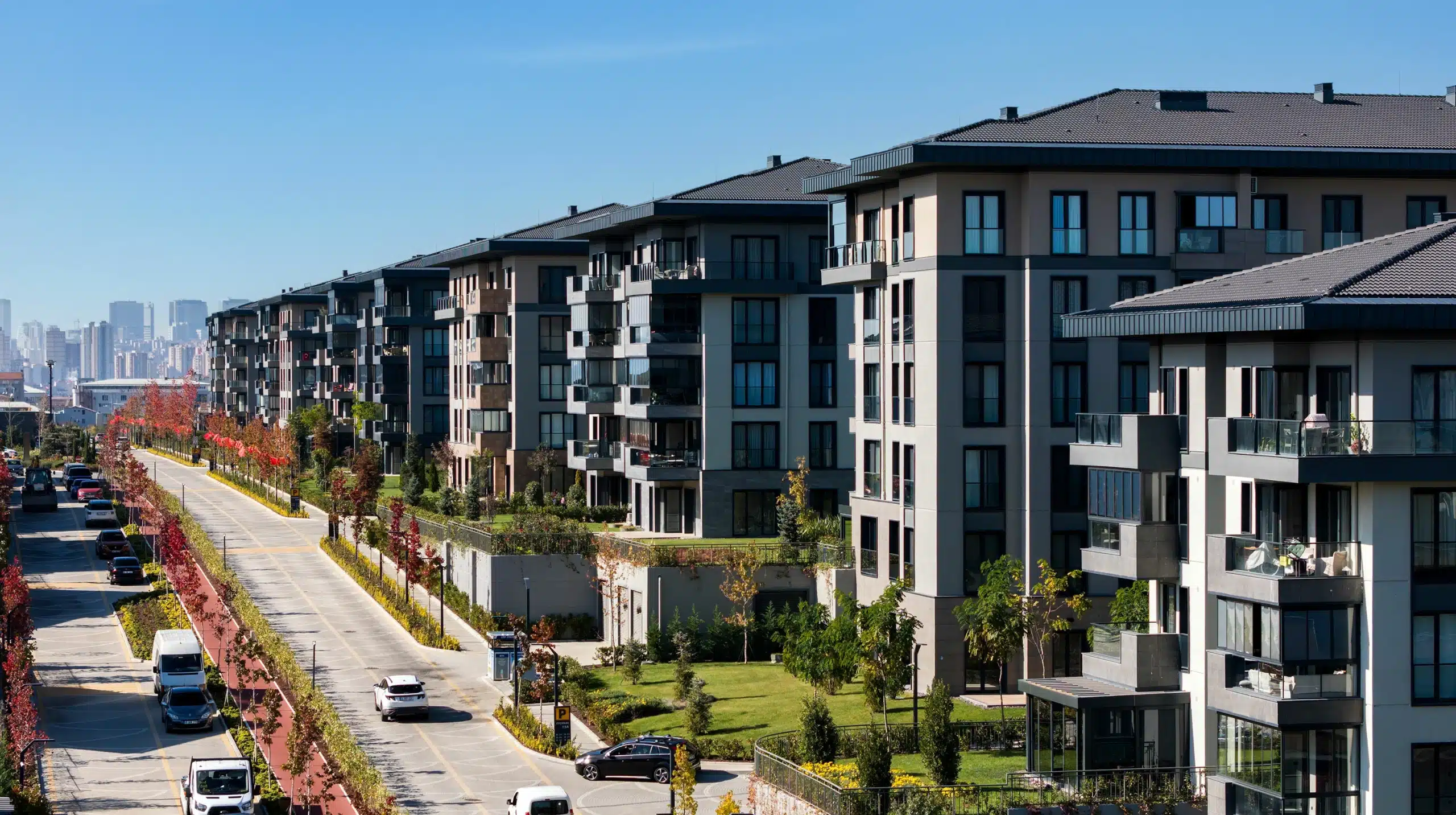 77244d3b-90a7-43e9-93bb-84a6adcf604c