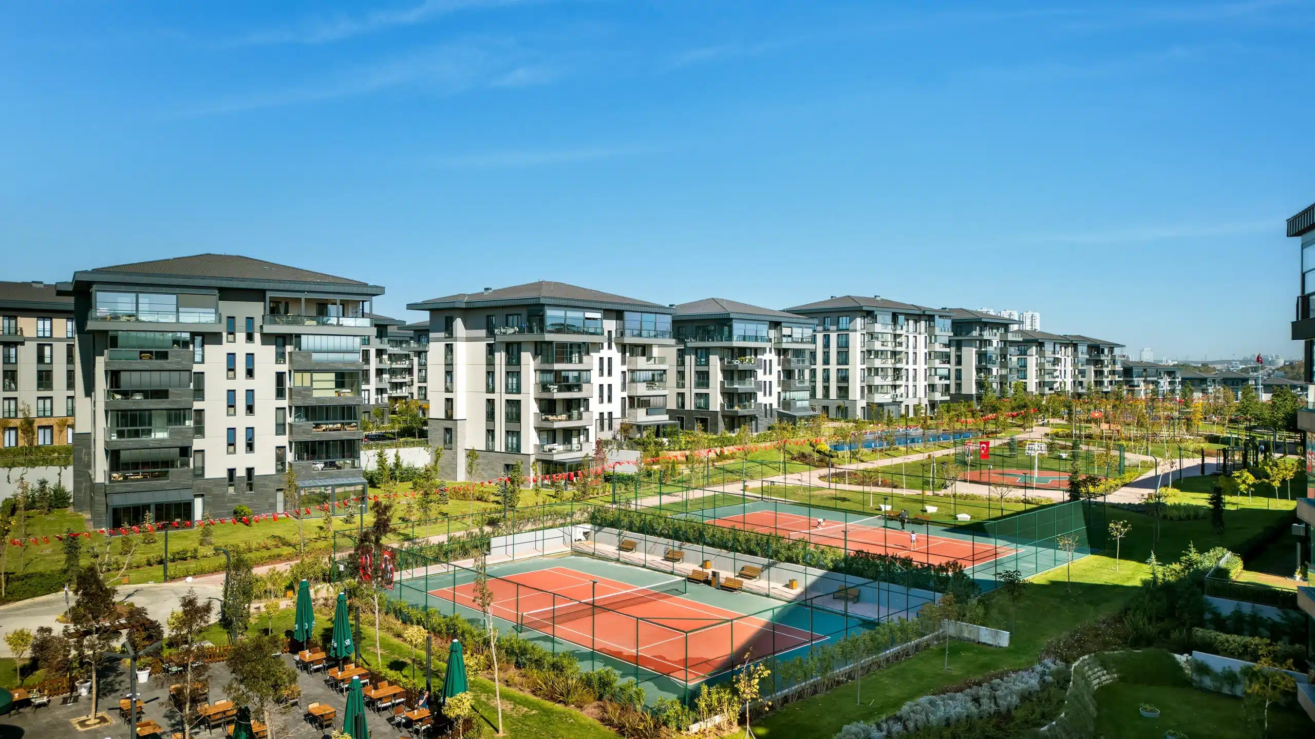 95bfe47e-efe9-4d51-8951-95cad0c06d2f