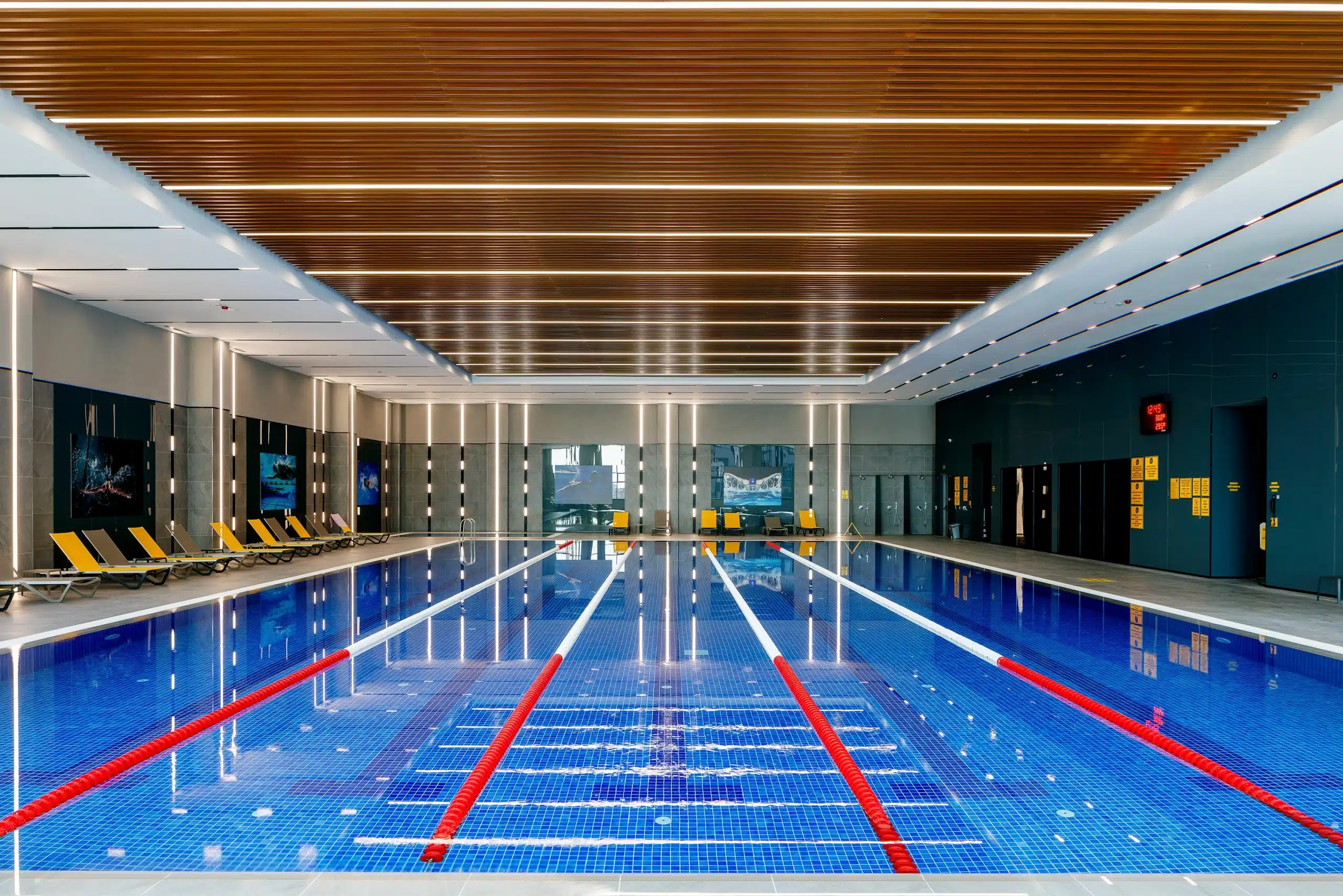 d613bf14-017f-4e0d-8ec4-59bb3afa8502